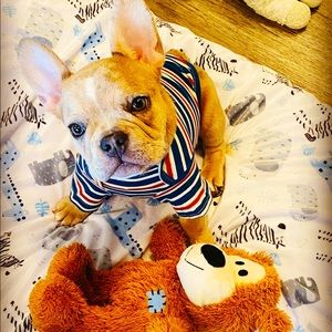 Meet your Posher, Mandy